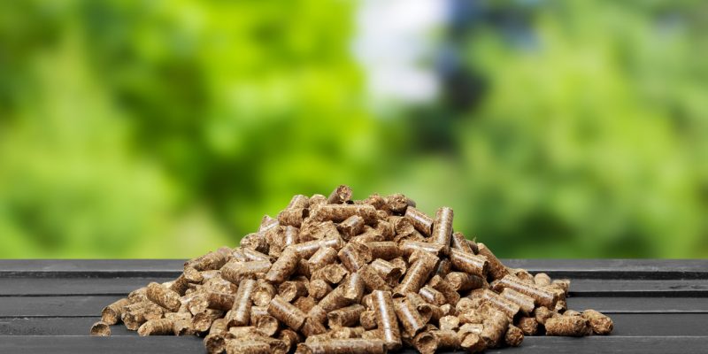 pellet