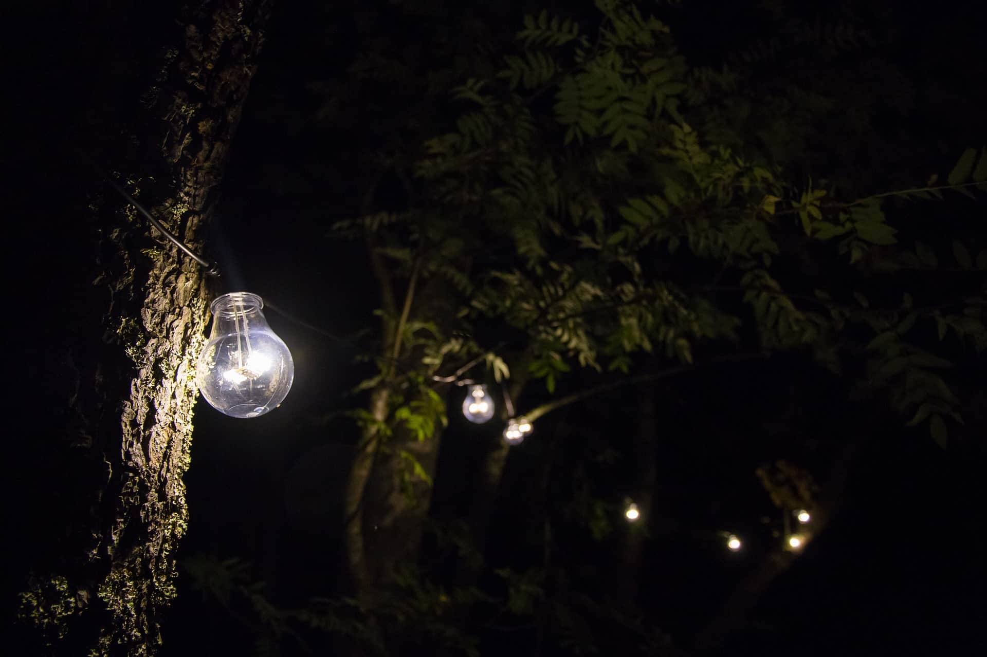 What lamps to choose for lighting trees in the garden?